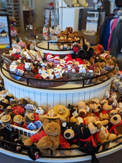 Toronto to Niagara Falls: Evening Tour with Cruise & lights - Final Thoughts