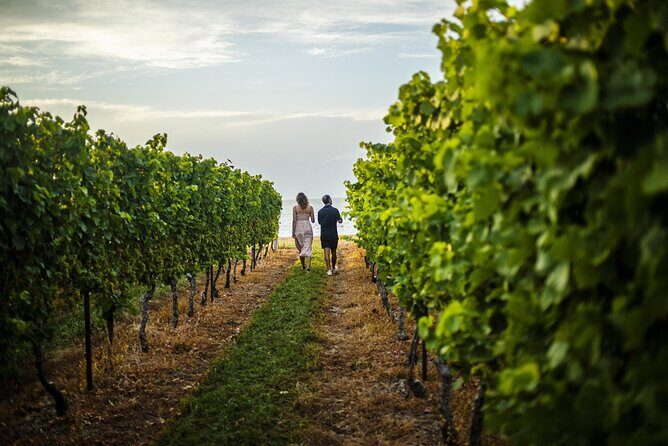 Toronto to Niagara Falls VIP Maple and Wine Tastings - Final Thoughts