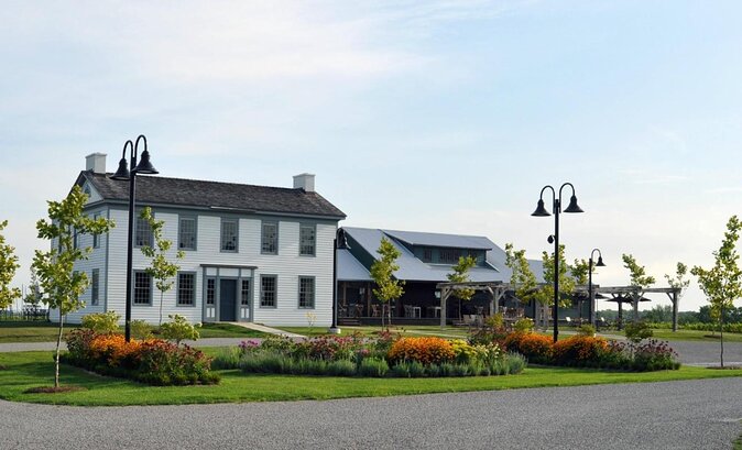 Toronto to Niagara Wine Tour - Wine Tasting Experiences
