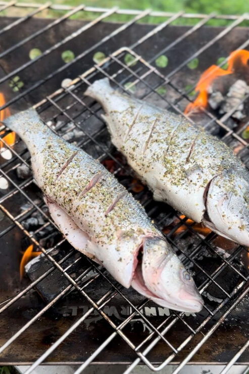 Toronto to Southern Ontario RV Fishing Adventure - Itinerary and Experience