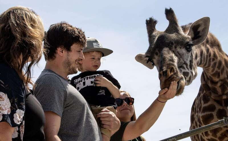 Toronto: Toronto Zoo Entry Ticket - Animal Highlights: Diversity in Action
