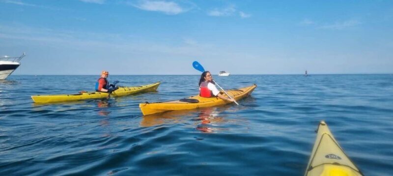 Torquay: 90-Minute Sea Kayak Taster Tour - An In-Depth Look at the Torquay Sea Kayak Taster Tour