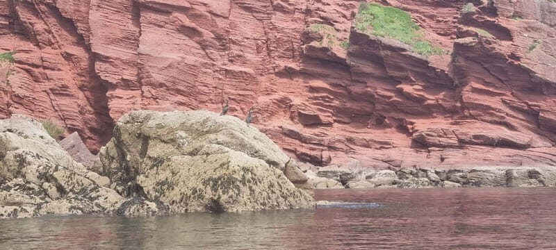 Torquay: Canoe Rental - The Experience of Canoeing in Torquay