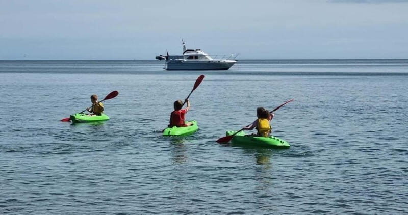 Torquay: Kayak Rental with Sit-on-Top and Sit-in Kayaks - Good To Know