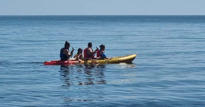 Torquay: Kayak Rental with Sit-on-Top and Sit-in Kayaks - Safety and Guidance: Confidence from the Get-Go