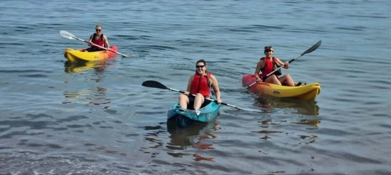 Torquay: Kayak Rental with Sit-on-Top and Sit-in Kayaks - The Paddling Experience: What You Can Expect