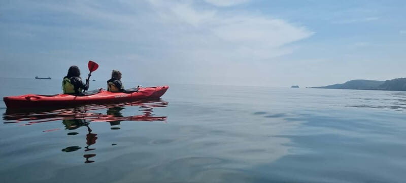 Torquay: Wildlife, Bushcraft and Sea Cave Kayak Safari - A Deep Dive into the Experience