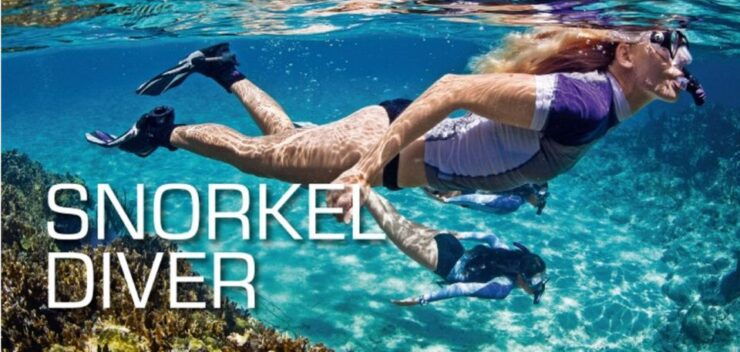 Torre Annunziata: Cala Di Mitigliano Snorkeling Tour by Boat - Activity Details