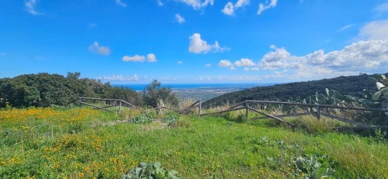 Torre Canne: E-Bike Ride by the Sea With Octopus Sandwich - E-Biking Along Coastal Trails