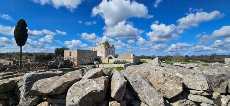 Torre Canne: E-Bike Ride by the Sea With Octopus Sandwich - Discovering Olive Groves and Open Fields