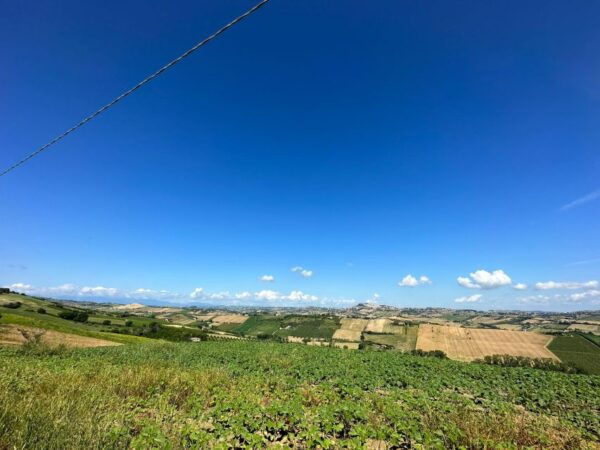 Torre Di Palme: E-Bike Tour Panoramas and Legends - Authentic Culinary Experience