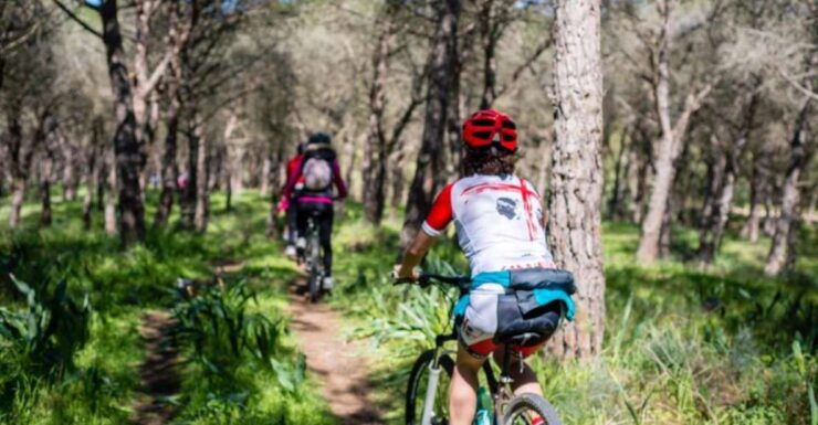 Torregrande Marina Bike Tour - Tour Details