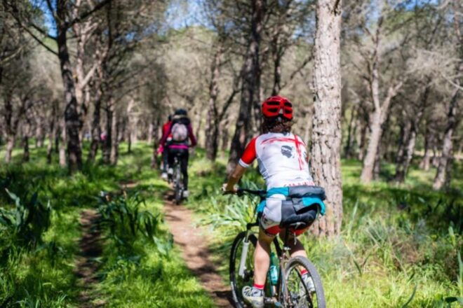 Torregrande Marina Bike Tour - Inclusions