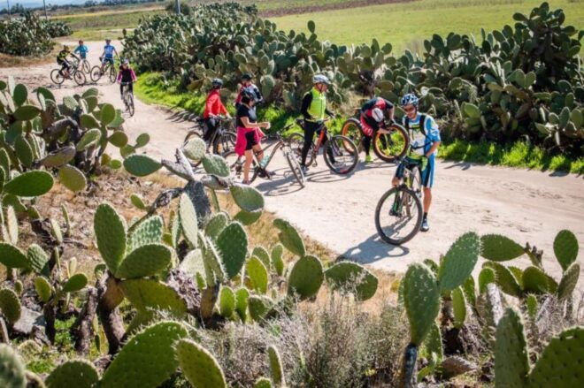 Torregrande Marina Bike Tour - Restrictions