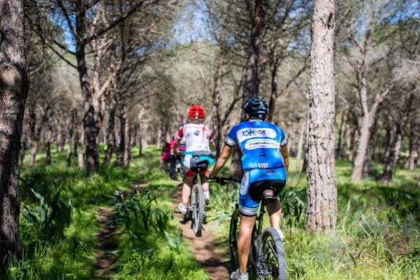 Torregrande Marina Bike Tour - Booking Information