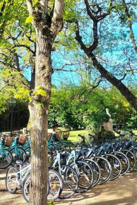 Torreilles: Bike Rental - Additional Information