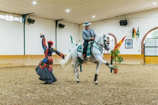 Torremolinos: Andalusian Horse Show With Flamenco Dance - Full Description