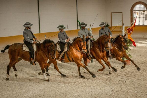 Torremolinos: Andalusian Horse Show With Flamenco Dance - The Sum Up