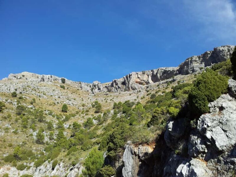 Torremolinos-Benalmádena: Jeep EcoTour - Authentic Andalusia - Who Might Want More?