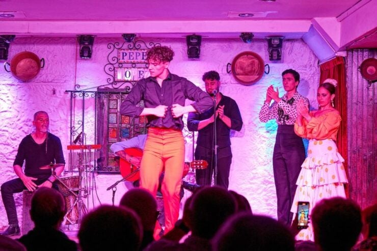 Torremolinos: Flamenco Show at Taberna Flamenca Pepe López - Experience Highlights