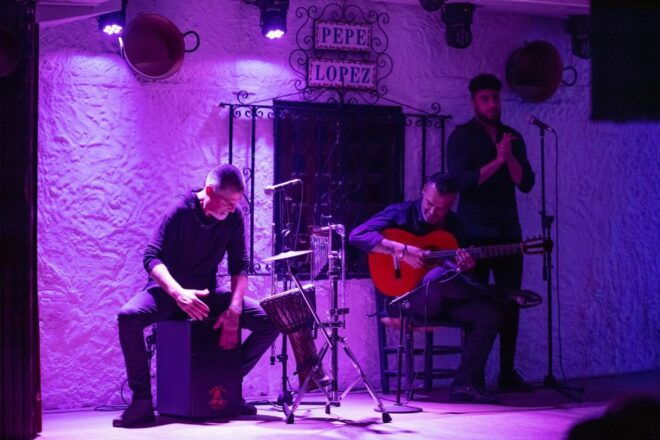 Torremolinos: Flamenco Show at Taberna Flamenca Pepe López - Customer Reviews