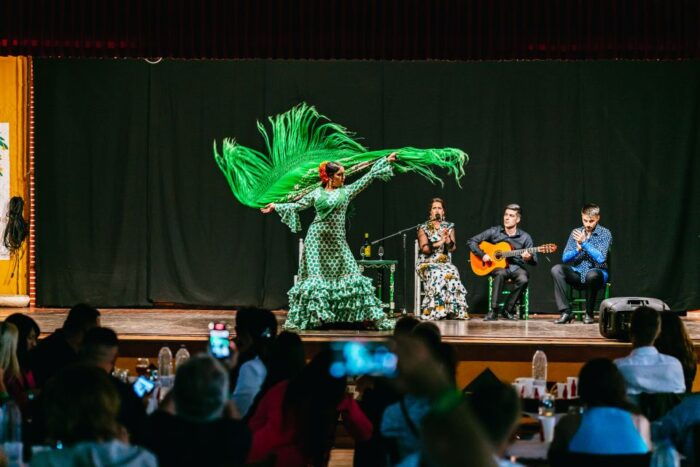 Torremolinos: Flamenco Show With Dinner and Drinks - Additional Tips and Recommendations