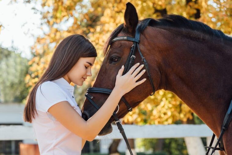 Torremolinos: Guided Tour to Stables of El Ranchito - Tour Logistics