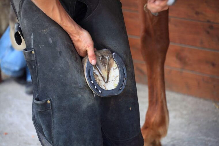 Torremolinos: Guided Tour to Stables of El Ranchito - Visitor Guidelines