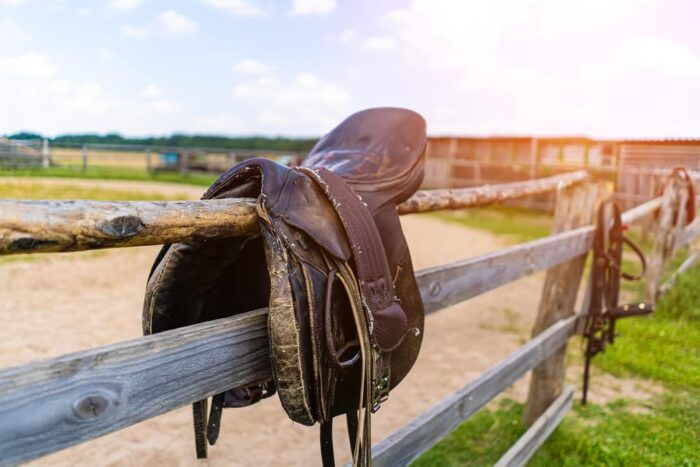 Torremolinos: Guided Tour to Stables of El Ranchito - Ideal for Animal and Nature Lovers