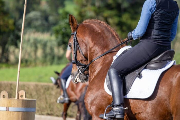 Torremolinos: Guided Tour to Stables of El Ranchito - Frequently Asked Questions