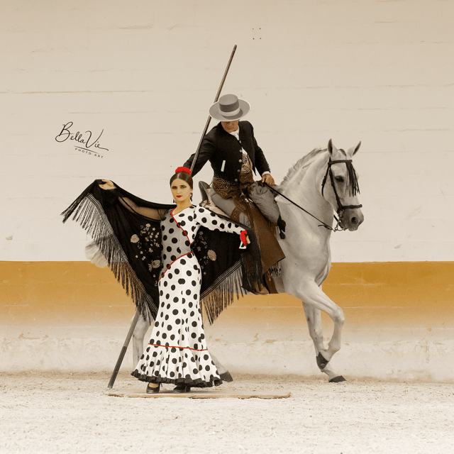 Torremolinos: Spanish Horse Show and Flamenco Option With Dinner - Good To Know