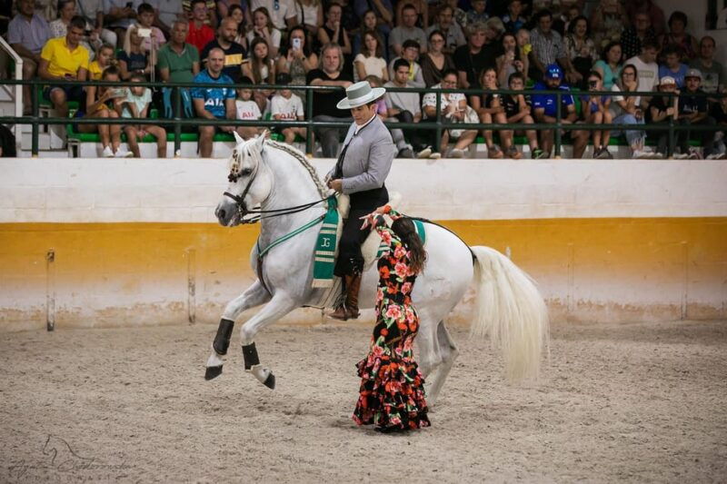 Torremolinos: Spanish Horse Show and Flamenco Option With Dinner - Show Details
