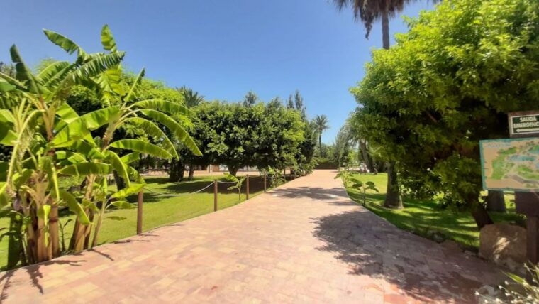 Torrevieja: Aquopolis Water Park Entry Ticket - Visitor Experiences and Ratings