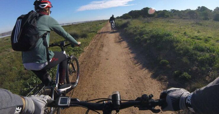 Torrevieja: Natural Parks E-Bike Tour - Pricing and Duration