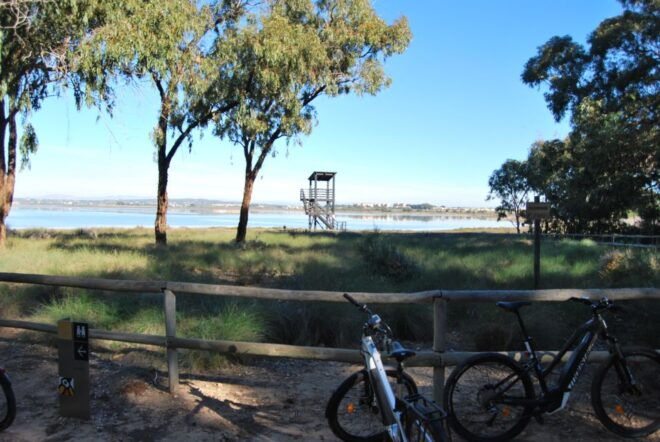 Torrevieja: Natural Parks E-Bike Tour - Group Size and Languages