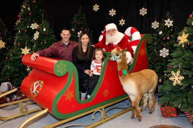 Torrington: Santa Photos & Alpaca Experience - Experience Highlights