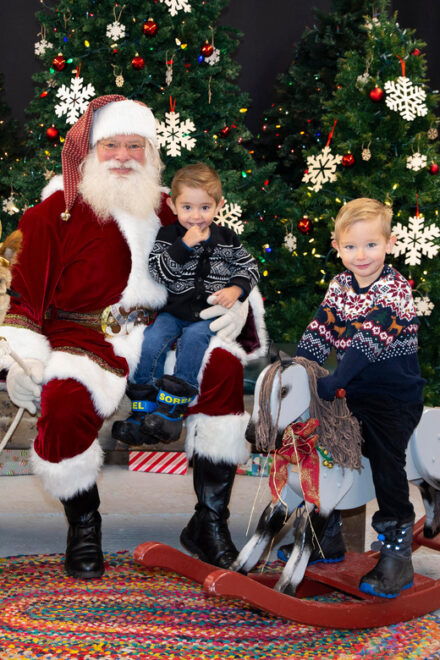 Torrington: Santa Photos & Alpaca Experience - Included Activities