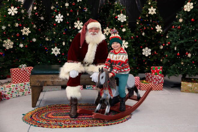 Torrington: Santa Photos & Alpaca Experience - Additional Information