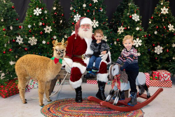 Torrington: Santa Photos & Alpaca Experience - Festive Holiday Celebration