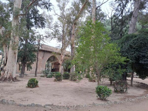 Tortosa: Discover the City. Self-Guided Audio Walking Tour - The Sum Up