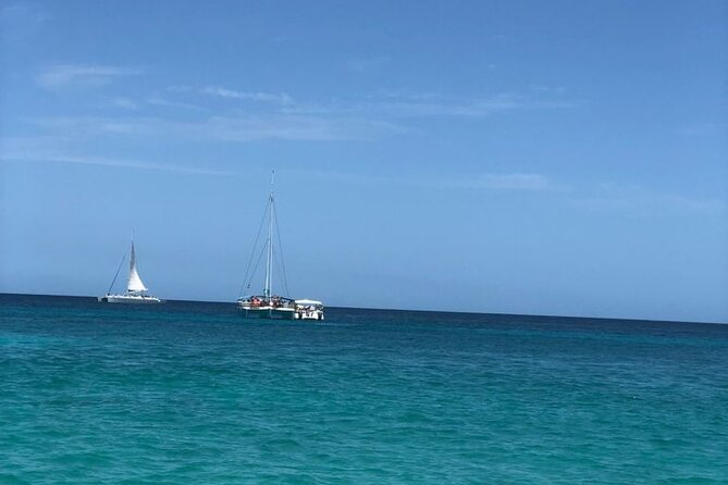 Tortuga Bay - Round Trip Shuttle - Punta Cana Airport - Service Overview