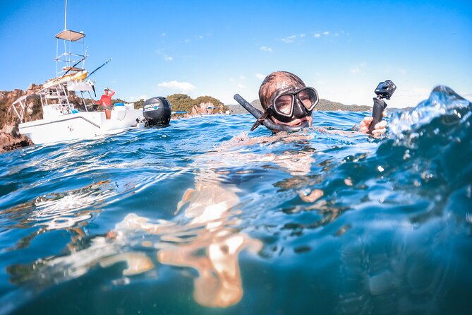 Tortuga Island Small-Group Day Tour With Lunch  - Santa Teresa - Itinerary Details