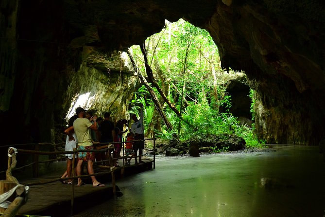 Tortugas & Cenotes Snorkel With Turtles Tour - Common Questions
