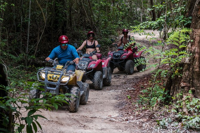 Tortugas Jeep Adventure & ATV Jungle Experience - Tour Overview