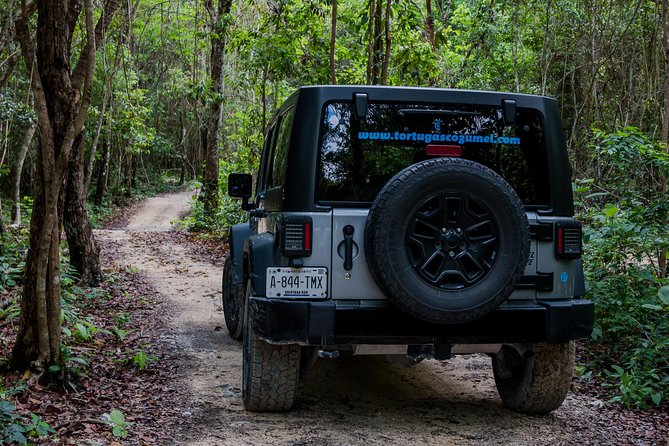 Tortugas Jeep Adventure & ATV Jungle Experience - Inclusions and Amenities