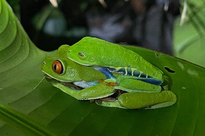 Tortuguero Canal Tour by Canoe - Customer Reviews
