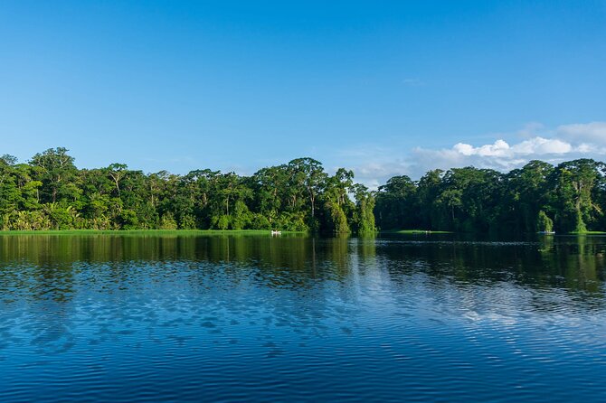 Tortuguero: Canoe Tour, Day Hike, Hill Tour, Night Tour or Spawning - Logistics and Costs