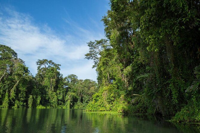 Tortuguero: Canoe Tour + Night Tour or Turtle Spawning - Good To Know