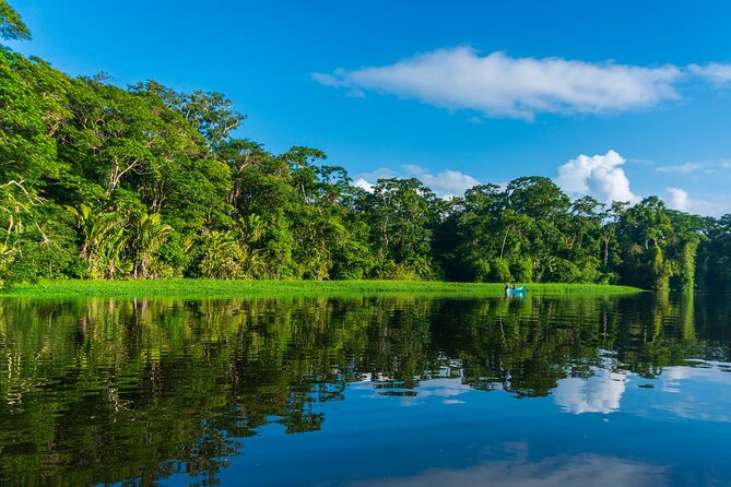 Tortuguero: Canoe Tour + Night Tour or Turtle Spawning - Cancellation Policy