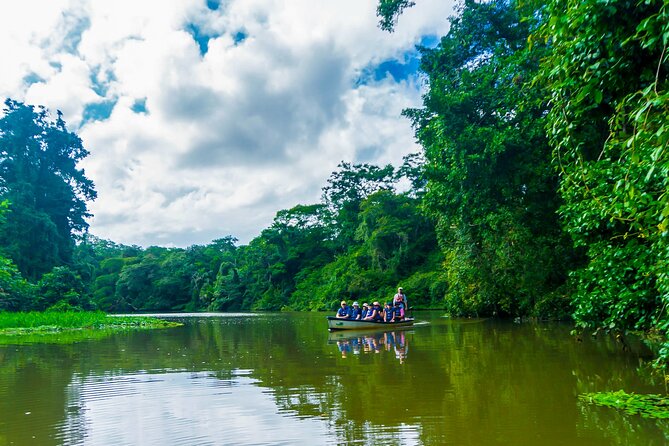 Tortuguero: Canoe Tour + Night Tour or Turtle Spawning - The Sum Up